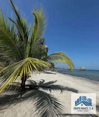 VENDO HERMOSA FINCA PUNTA MANABIQUE — Finca en Venta en Punta de Manabique, Izabal — miniatura 4 de 4