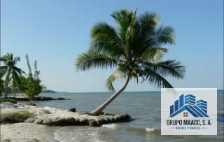 VENDO HERMOSA FINCA PUNTA MANABIQUE — Finca en Venta en Punta de Manabique, Izabal — miniatura 2 de 4