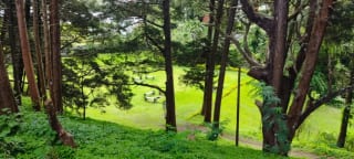 CASA EN VENTA JARDINES DE ARRAZOLA KM 19.5 FRAIJANES — Casa en Venta en Jardines de Arrazola, Carretera a El Salvador, Guatemala, Ciudad — miniatura 3 de 10