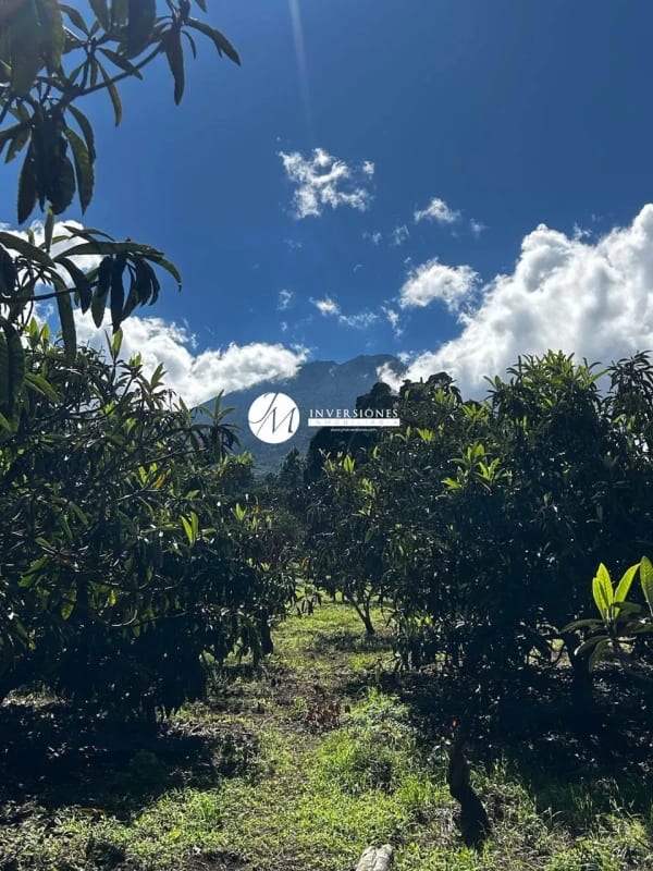terreno en venta en antigua Guatemala — Terreno en Venta en Antigua, Sacatepéquez — foto 6 de 6