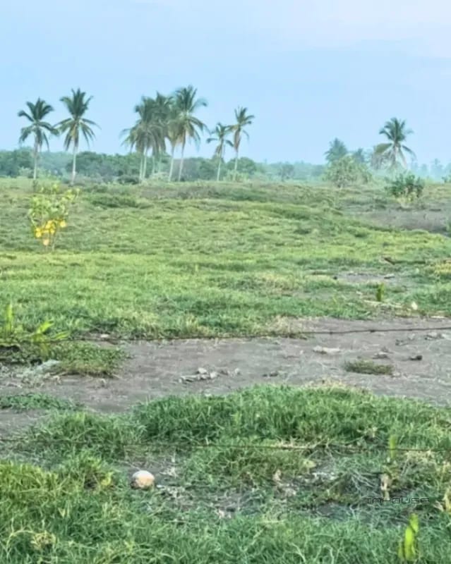 TERRENO EN VENTA EN JUTIAPA A POCOS METROS DE LA PLAYA FRENTE A LA BAHÍA — Terreno en Venta en Moyuta, Jutiapa — foto 5 de 5
