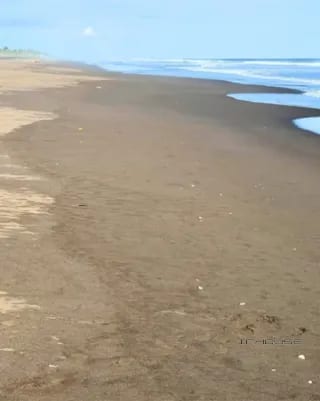 TERRENO EN VENTA EN JUTIAPA A POCOS METROS DE LA PLAYA FRENTE A LA BAHÍA — Terreno en Venta en Moyuta, Jutiapa — miniatura 2 de 5