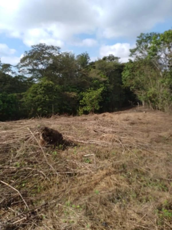 Terreno en venta - Km 30.2 Carretera a Fraijanes — Terreno en Venta en Fraijanes, Carretera a El Salvador, Guatemala, Ciudad — foto 6 de 9