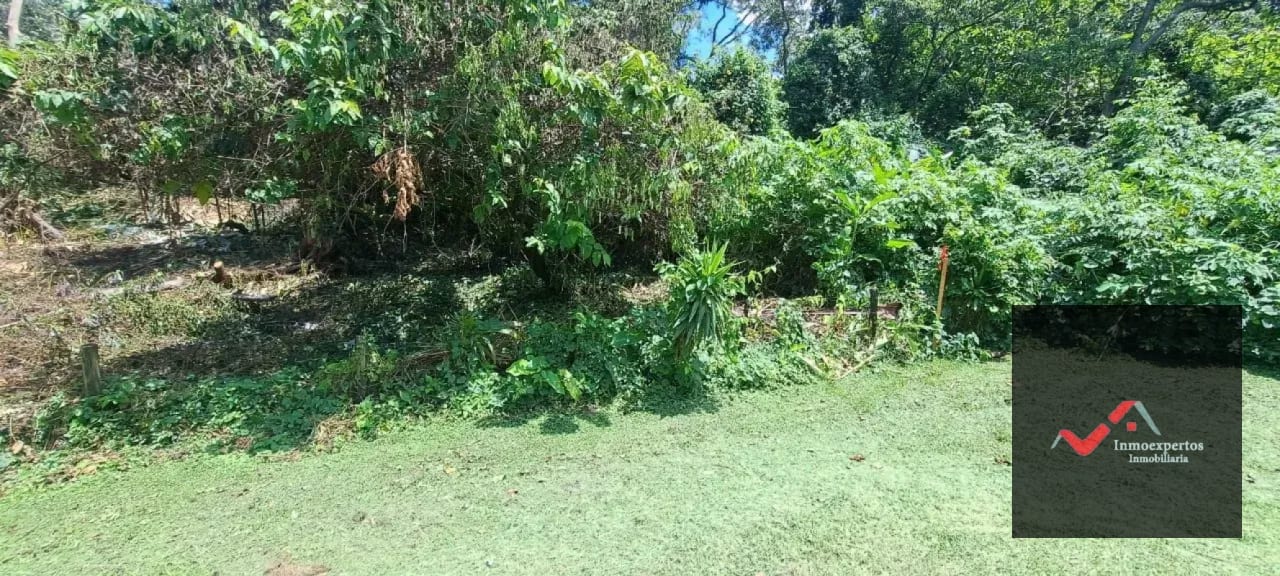 Terreno en Venta – Carretera a Palín, km 48 Ruta CA-9, Escuintla — Terreno en Venta en Palín, Escuintla — foto 11 de 15