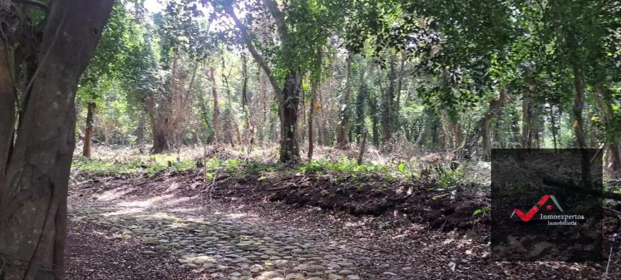 Terreno en Venta – Carretera a Palín, km 48 Ruta CA-9, Escuintla — Terreno en Venta en Palín, Escuintla — foto 10 de 15