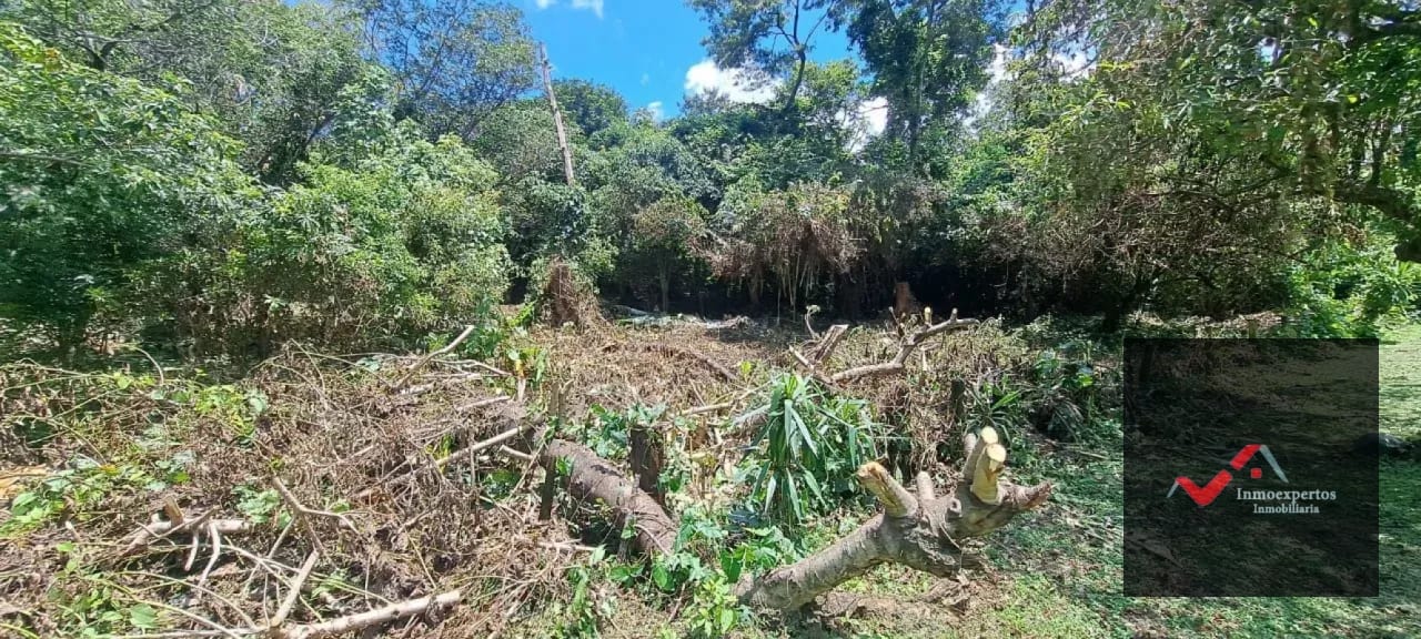 Terreno en Venta – Carretera a Palín, km 48 Ruta CA-9, Escuintla — Terreno en Venta en Palín, Escuintla — foto 9 de 15