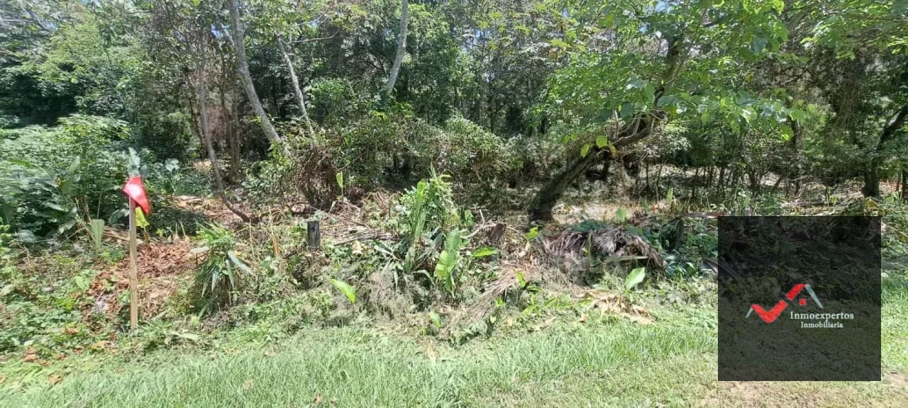 Terreno en Venta – Carretera a Palín, km 48 Ruta CA-9, Escuintla — Terreno en Venta en Palín, Escuintla — foto 8 de 15