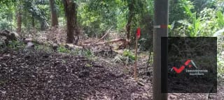 Terreno en Venta – Carretera a Palín, km 48 Ruta CA-9, Escuintla — Terreno en Venta en Palín, Escuintla — miniatura 6 de 15