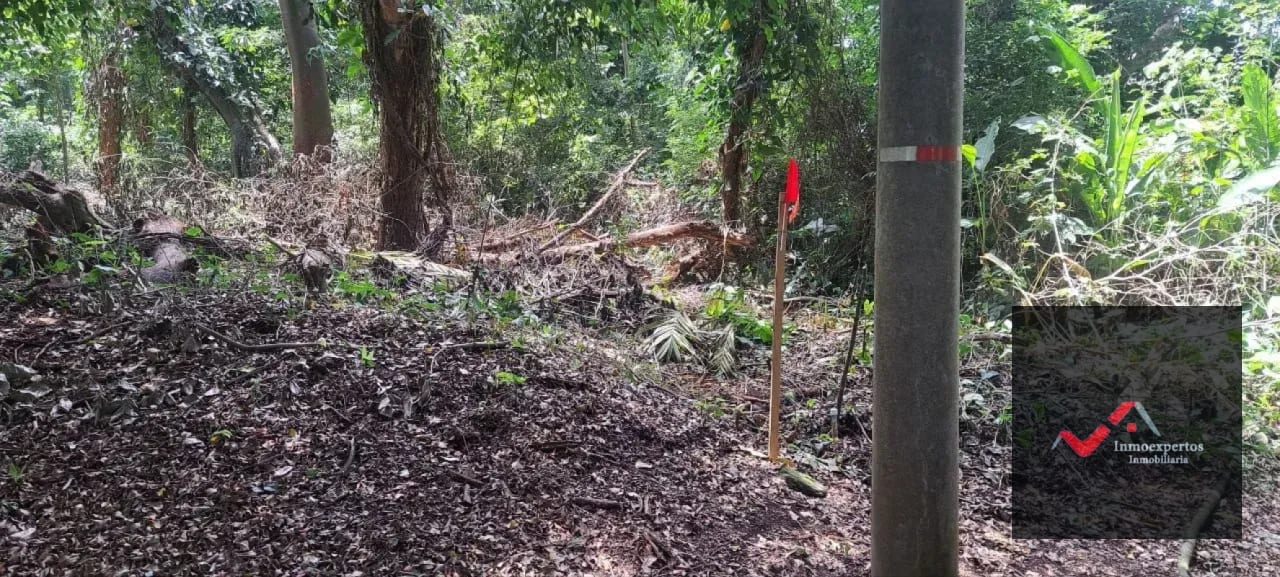 Terreno en Venta – Carretera a Palín, km 48 Ruta CA-9, Escuintla — Terreno en Venta en Palín, Escuintla — foto 6 de 15