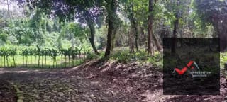Terreno en Venta – Carretera a Palín, km 48 Ruta CA-9, Escuintla — Terreno en Venta en Palín, Escuintla — miniatura 5 de 15