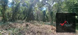 Terreno en Venta – Carretera a Palín, km 48 Ruta CA-9, Escuintla — Terreno en Venta en Palín, Escuintla — miniatura 3 de 15