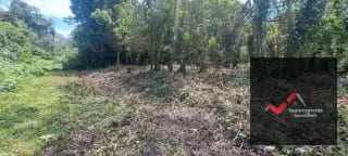 Terreno en Venta – Carretera a Palín, km 48 Ruta CA-9, Escuintla — Terreno en Venta en Palín, Escuintla — miniatura 2 de 15