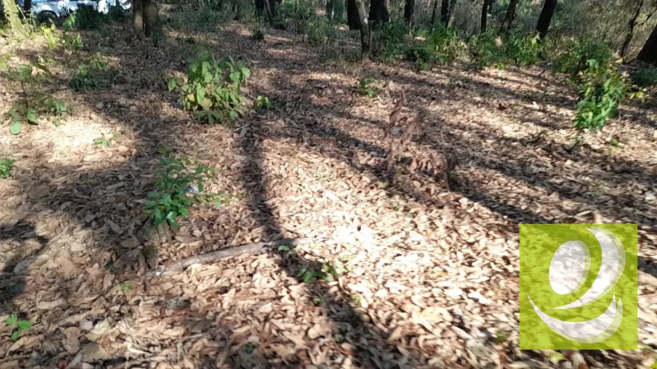 Terreno de Esquina en Venta en El Encinal Zona 7 Mixco — Terreno en Venta en Zona 7 Mixco, Guatemala, Ciudad — foto 7 de 7