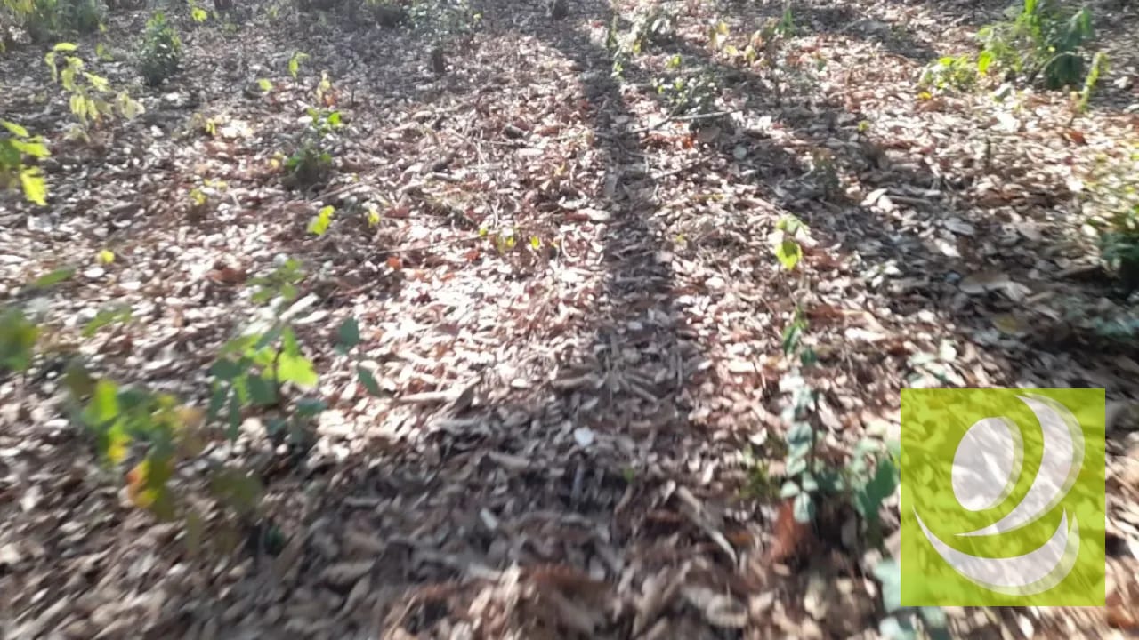 Terreno de Esquina en Venta en El Encinal Zona 7 Mixco — Terreno en Venta en Zona 7 Mixco, Guatemala, Ciudad — foto 6 de 7