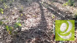 Terreno de Esquina en Venta en El Encinal Zona 7 Mixco — Terreno en Venta en Zona 7 Mixco, Guatemala, Ciudad — miniatura 6 de 7