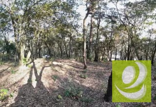Terreno de Esquina en Venta en El Encinal Zona 7 Mixco — Terreno en Venta en Zona 7 Mixco, Guatemala, Ciudad — miniatura 5 de 7