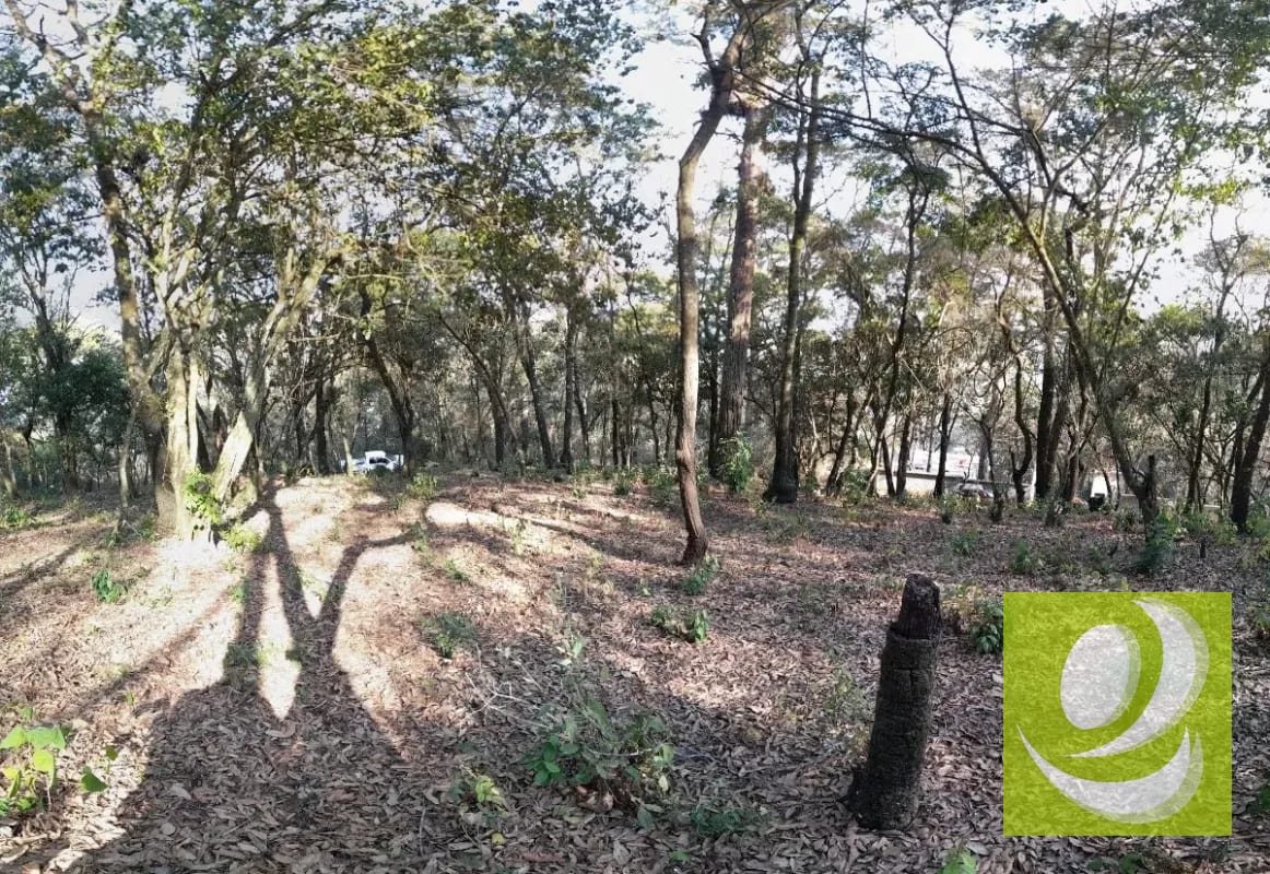 Terreno de Esquina en Venta en El Encinal Zona 7 Mixco — Terreno en Venta en Zona 7 Mixco, Guatemala, Ciudad — foto 5 de 7