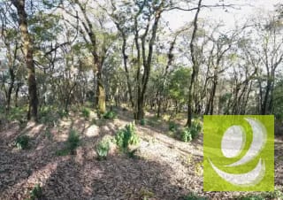 Terreno en Venta en El Encinal Zona 7 Mixco — Terreno en Venta en Zona 7 Mixco, Guatemala, Ciudad — miniatura 8 de 8