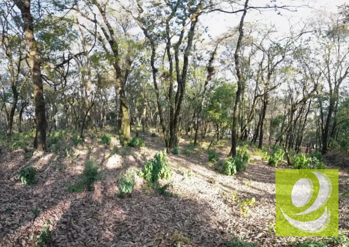 Terreno en Venta en El Encinal Zona 7 Mixco — Terreno en Venta en Zona 7 Mixco, Guatemala, Ciudad — foto 8 de 8