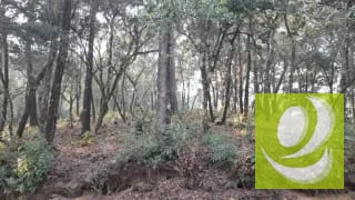 Terreno en Venta en El Encinal Zona 7 Mixco — Terreno en Venta en Zona 7 Mixco, Guatemala, Ciudad — miniatura 6 de 8