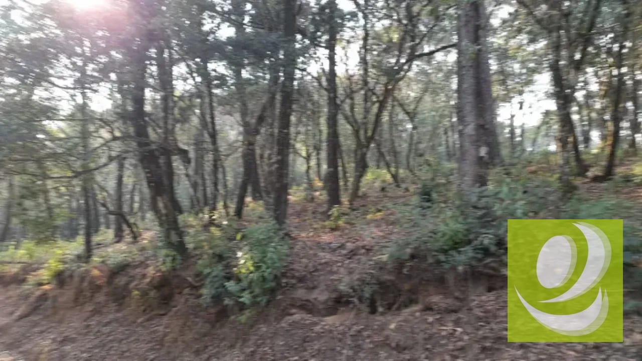 Terreno en Venta en El Encinal Zona 7 Mixco — Terreno en Venta en Zona 7 Mixco, Guatemala, Ciudad — foto 3 de 8