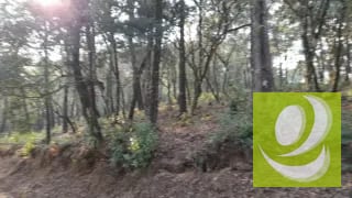 Terreno en Venta en El Encinal Zona 7 Mixco — Terreno en Venta en Zona 7 Mixco, Guatemala, Ciudad — miniatura 3 de 8
