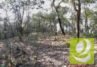 Terreno en Venta en El Encinal Zona 7 Mixco — Terreno en Venta en Zona 7 Mixco, Guatemala, Ciudad — miniatura 2 de 8