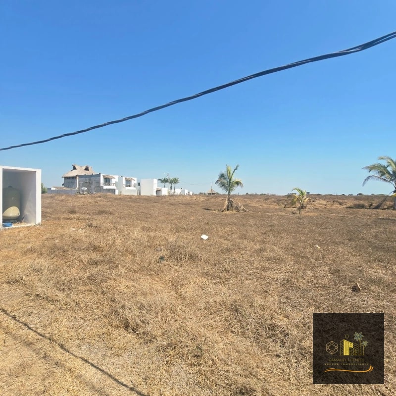 Terreno en Venta en El Paredon a 150 metros del mar — Terreno en Venta en El Paredón, Escuintla — foto 5 de 7