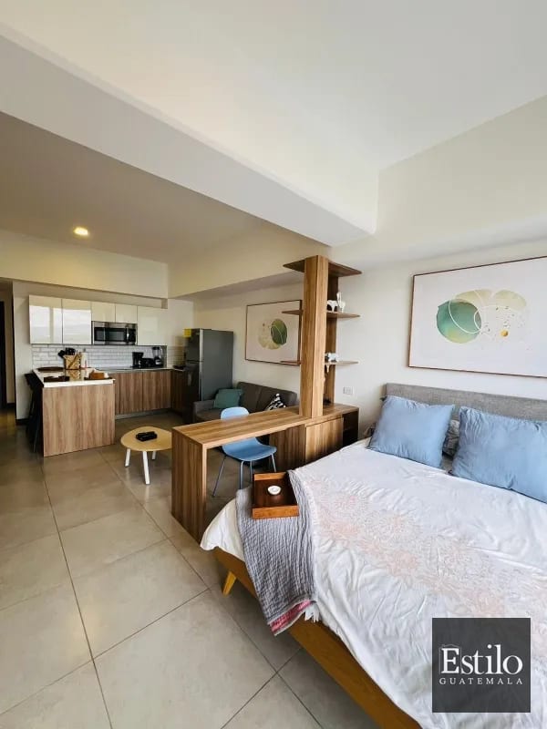 Apartamento Estudio en Venta — Apartamento en Venta en Zona 13, Guatemala, Ciudad — foto 8 de 10