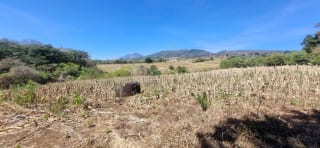 Terreno en Venta en el Jocotillo Calle Santa Rosita — Terreno en Venta en Santa Elena Barillas, Guatemala, Ciudad — miniatura 12 de 15