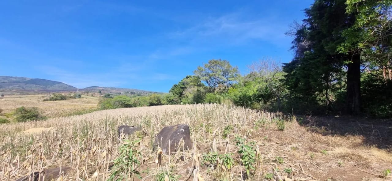Terreno en Venta en el Jocotillo Calle Santa Rosita — Terreno en Venta en Santa Elena Barillas, Guatemala, Ciudad — foto 11 de 15