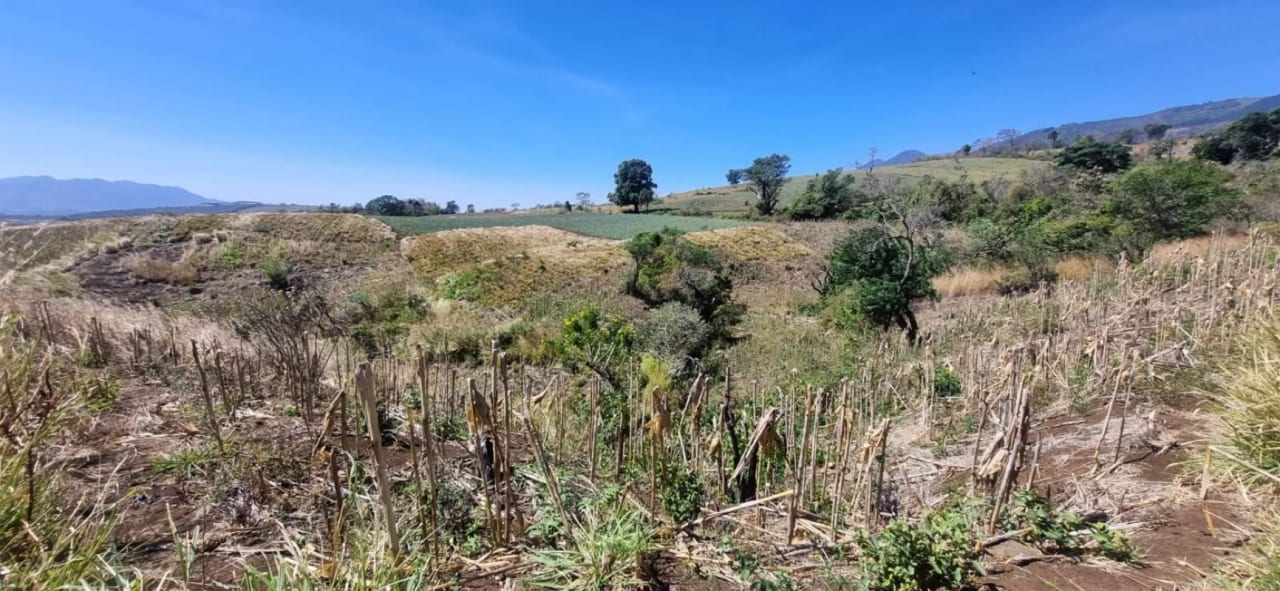 Terreno en Venta en el Jocotillo Calle Santa Rosita — Terreno en Venta en Santa Elena Barillas, Guatemala, Ciudad — foto 9 de 15