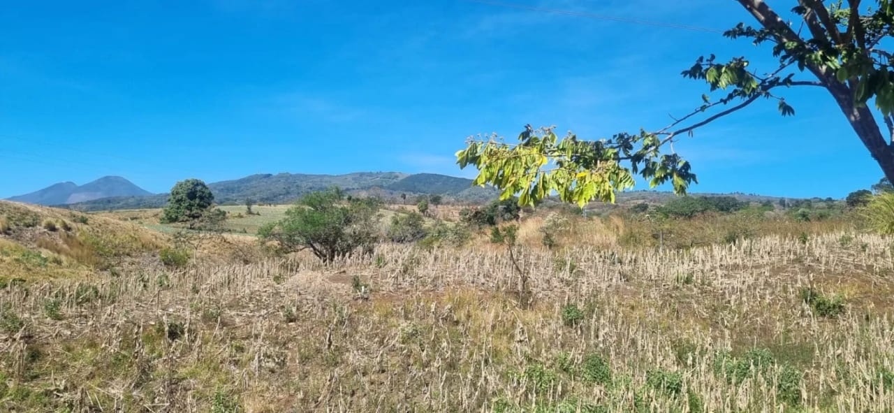 Terreno en Venta en el Jocotillo Calle Santa Rosita — Terreno en Venta en Santa Elena Barillas, Guatemala, Ciudad — foto 1 de 15