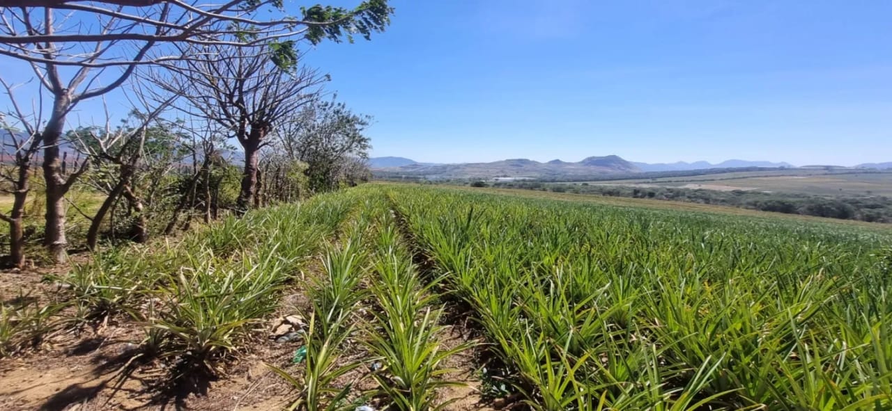 Venta de Terreno Jocotillo Villa Canales — Terreno en Venta en Santa Elena Barillas, Guatemala, Ciudad — foto 4 de 5