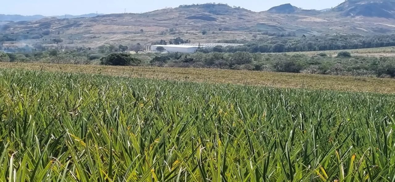 Venta de Terreno Jocotillo Villa Canales — Terreno en Venta en Santa Elena Barillas, Guatemala, Ciudad — foto 2 de 5
