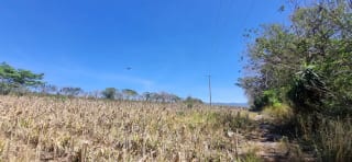 Terreno en Venta en el  Jocotillo Santa Elena Barillas — Terreno en Venta en Santa Elena Barillas, Guatemala, Ciudad — miniatura 1 de 8