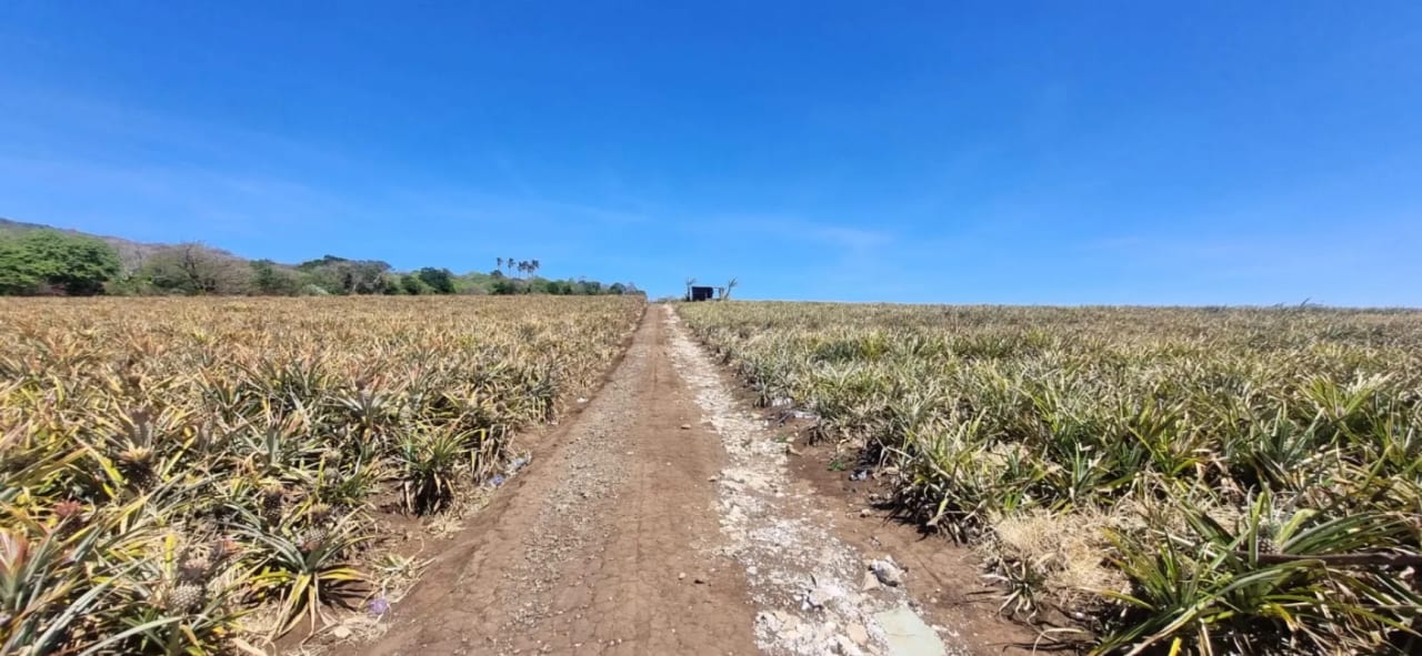 Terreno en Venta en el Jocotillo Santa Elena Barillas — Terreno en Venta en Santa Elena Barillas, Guatemala, Ciudad — foto 6 de 8