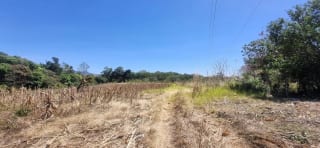 Terreno en Venta en el  Jocotillo Santa Elena Barillas — Terreno en Venta en Santa Elena Barillas, Guatemala, Ciudad — miniatura 4 de 8