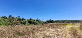 Terreno en Venta en el  Jocotillo Santa Elena Barillas — Terreno en Venta en Santa Elena Barillas, Guatemala, Ciudad — miniatura 3 de 8