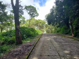 Terrenos en Casa y Campo, Km 23 Carretera a El Salvador — Terreno en Venta en Carretera a El Salvador, Guatemala, Ciudad — miniatura 4 de 5
