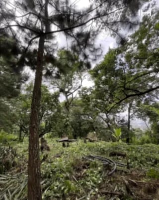 TERRENO EN VENTA EN SANTA ROSALÍA -CON ACCESO A ZONA 16 Y CARRETERA A EL SALVADOR- — Terreno en Venta en Carretera a El Salvador, Guatemala, Ciudad — miniatura 1 de 9