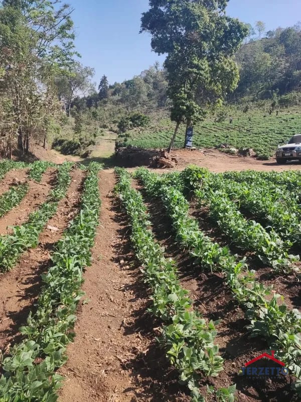 Finca en km 53.5 de la ruta de Chimaltenango — Terreno en Venta en San Martín Jilotepeque, Chimaltenango — foto 1 de 17