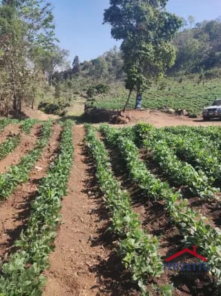 Finca en km 53.5 de la ruta de Chimaltenango — Terreno en Venta en San Martín Jilotepeque, Chimaltenango — miniatura 1 de 17