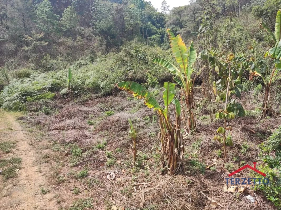 Finca en km 53.5 de la ruta de Chimaltenango — Terreno en Venta en San Martín Jilotepeque, Chimaltenango — foto 16 de 17