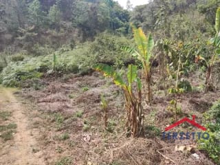 Finca en km 53.5 de la ruta de Chimaltenango — Terreno en Venta en San Martín Jilotepeque, Chimaltenango — miniatura 16 de 17