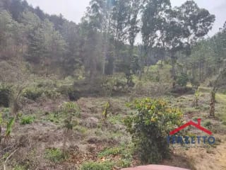 Finca en km 53.5 de la ruta de Chimaltenango — Terreno en Venta en San Martín Jilotepeque, Chimaltenango — miniatura 15 de 17