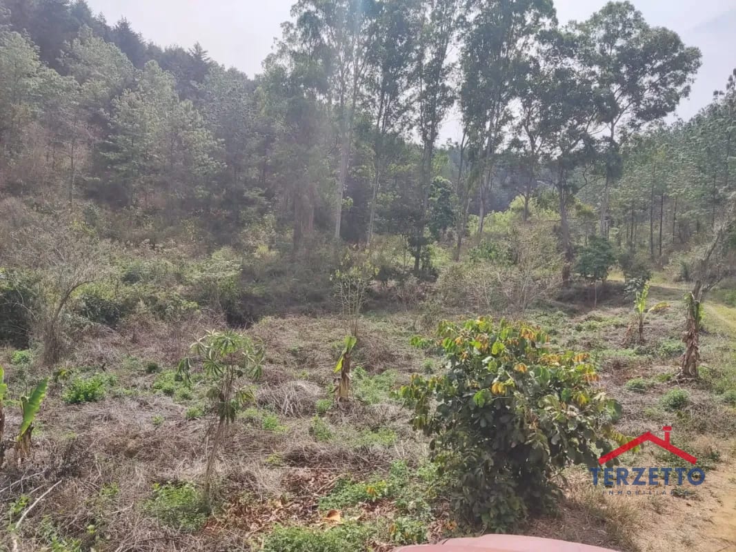 Finca en km 53.5 de la ruta de Chimaltenango — Terreno en Venta en San Martín Jilotepeque, Chimaltenango — foto 15 de 17