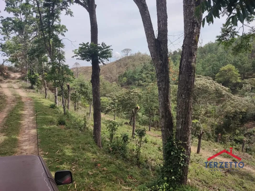 Finca en km 53.5 de la ruta de Chimaltenango — Terreno en Venta en San Martín Jilotepeque, Chimaltenango — foto 14 de 17