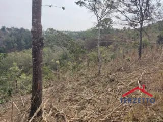 Finca en km 53.5 de la ruta de Chimaltenango — Terreno en Venta en San Martín Jilotepeque, Chimaltenango — miniatura 12 de 17