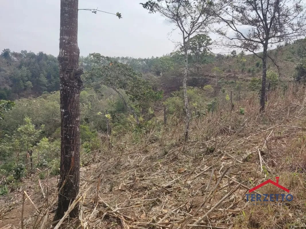 Finca en km 53.5 de la ruta de Chimaltenango — Terreno en Venta en San Martín Jilotepeque, Chimaltenango — foto 12 de 17